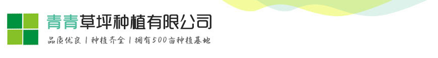 凯发电游的官网
